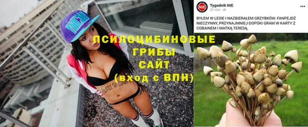 первитин Усмань