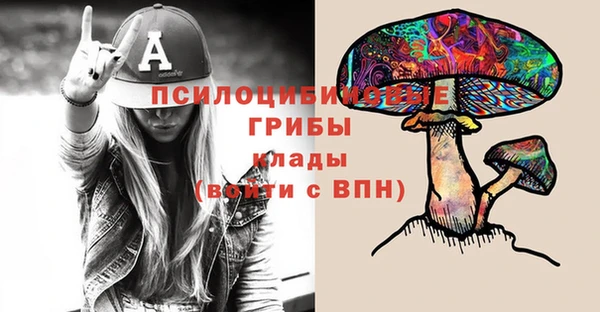 таблы Заводоуковск