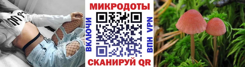 Купить закладки  Спасск-Дальний  Галлюциногенные грибы Magic Shrooms 